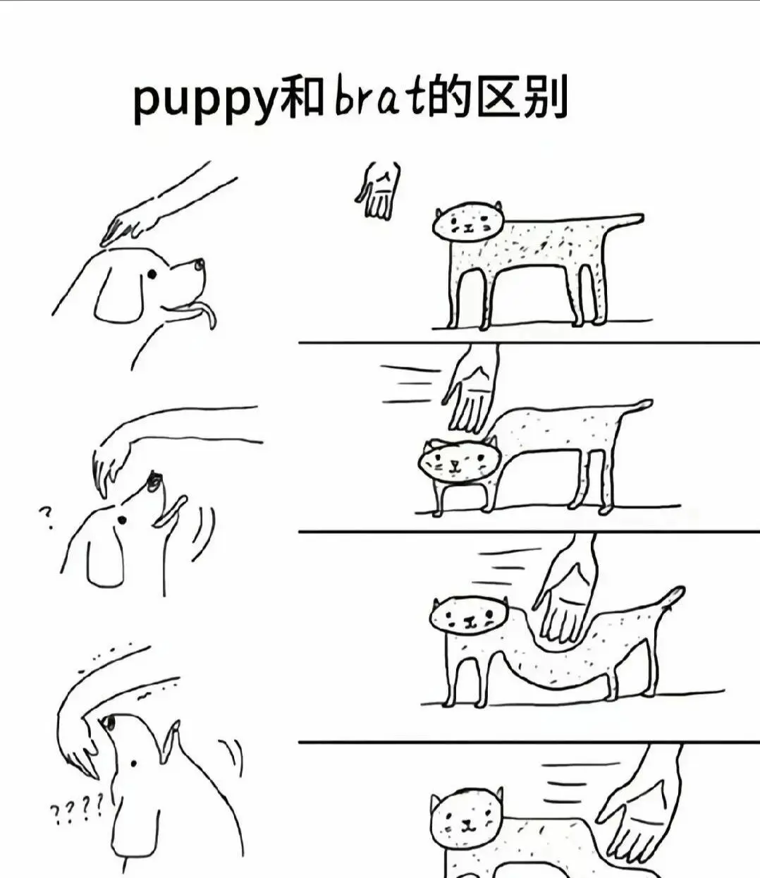 西檬之家-Brat属性是什么？字母圈新人入圈指南