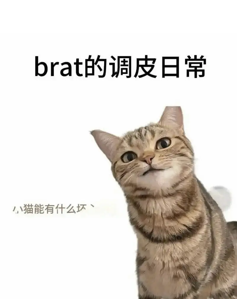 西檬之家：字母圈新人入门指南，从基础术语到实践原则