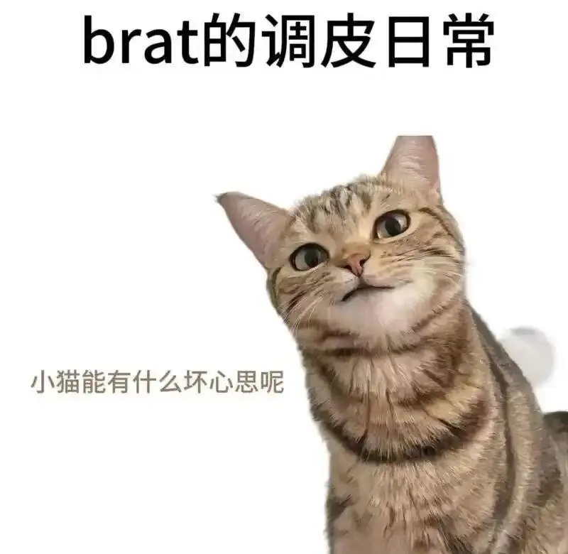 西檬之家-字母圈新人入圈指南：常见术语与实践规范