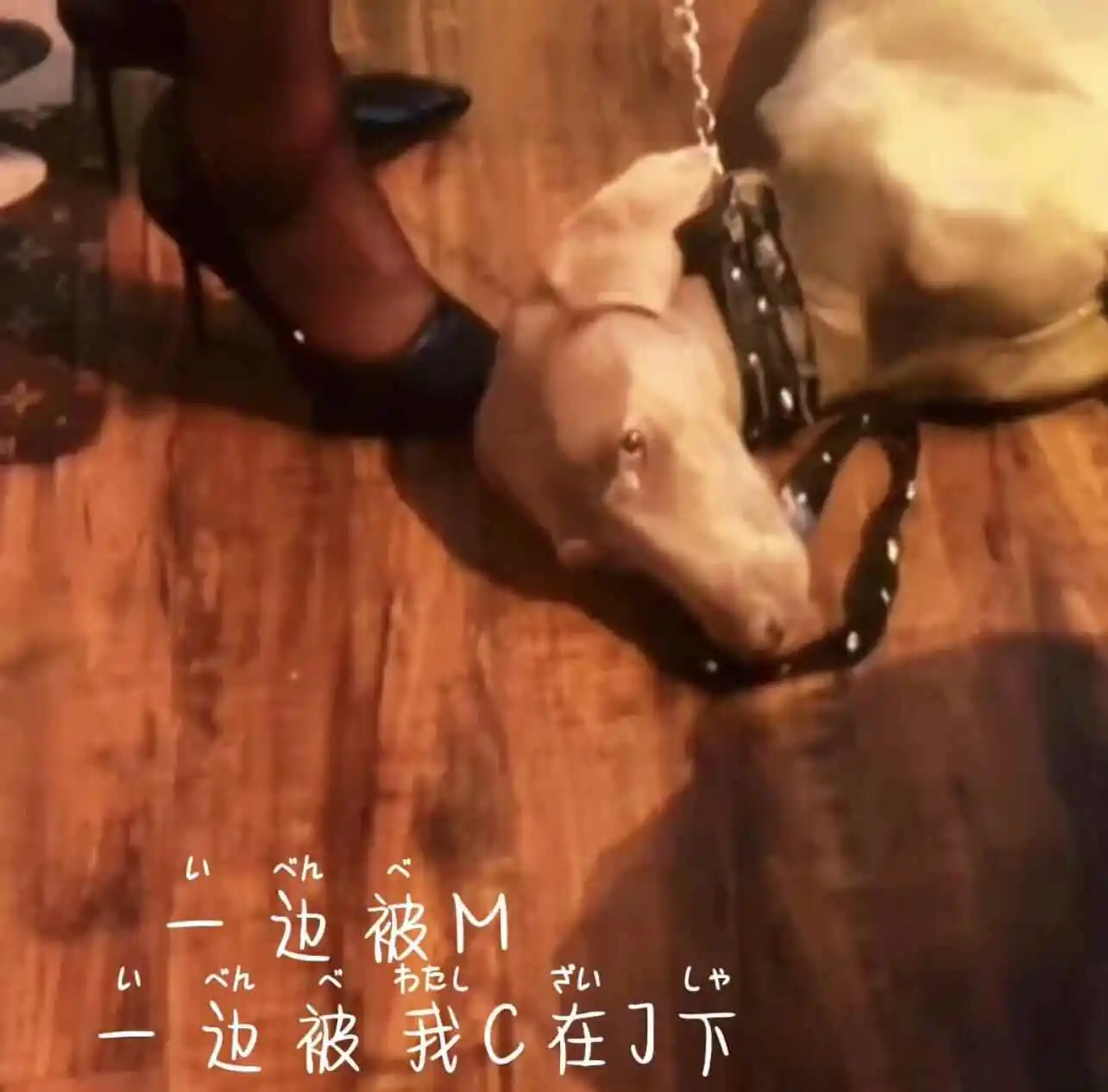 【西檬之家】PE是什么？BDSM中的权力交换之道